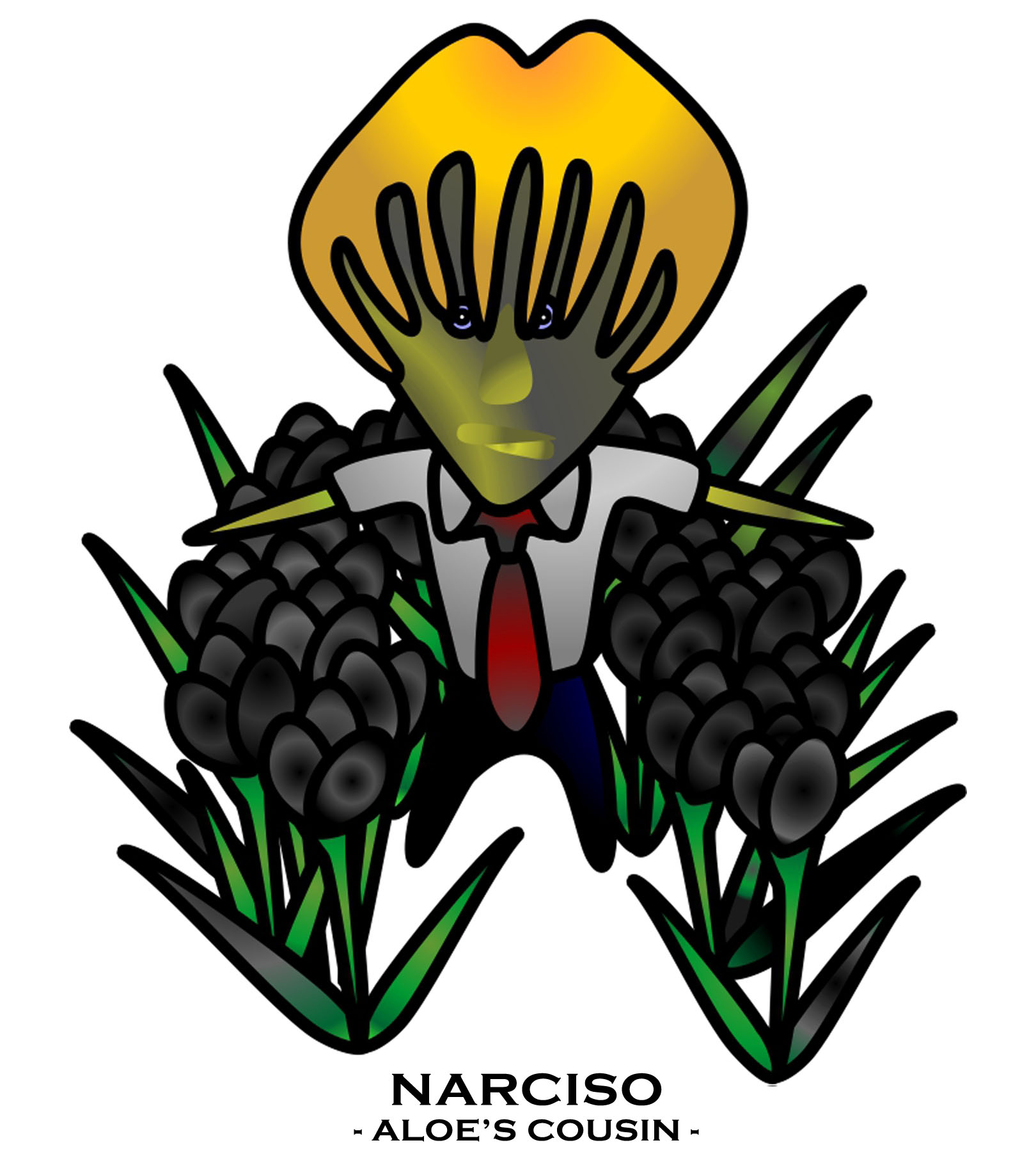 Narciso