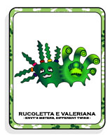 Rucoletta e Valeriana