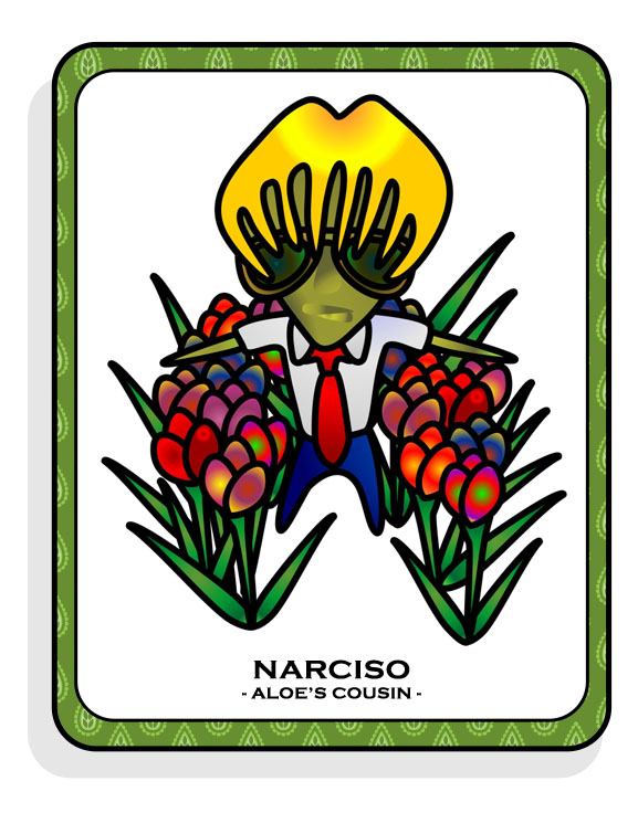 Narciso