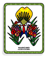 Narciso